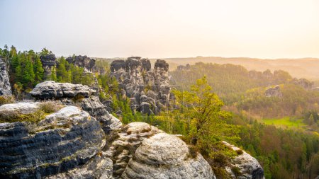 Sunlight bathes the Bastei rock formations and the surrounding forest of Saxon Switzerland National Park at dawn. Kurort Rathen, Germany