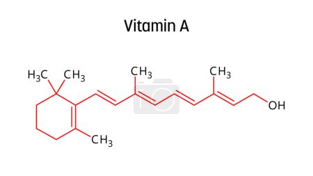 Structure moléculaire de la vitamine A. La vitamine A est importante pour la vision humaine. Formule structurelle vectorielle de composé chimique avec des liaisons rouges et des étiquettes d'atome noir.