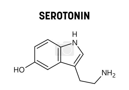 Estructura molecular de serotonina. La serotonina es un neurotransmisor monoamínico que modula el estado de ánimo, la cognición, la recompensa, el aprendizaje, la memoria y otras funciones. Fórmula estructural vectorial del compuesto químico.