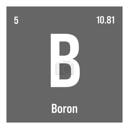 Boro, B, elemento de tabla periódica con nombre, símbolo, número atómico y peso. Metaloide con diversos usos industriales, como en fibra de vidrio, cerámica y como absorbente de neutrones en centrales nucleares