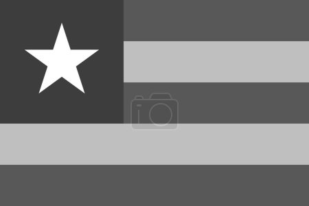 Drapeau du Togo - illustration vectorielle monochrome en niveaux de gris. Drapeau en noir et blanc