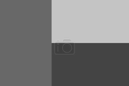 Benin flag - greyscale monochrome vector illustration. Flag in black and white