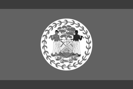 Belize flag - greyscale monochrome vector illustration. Flag in black and white