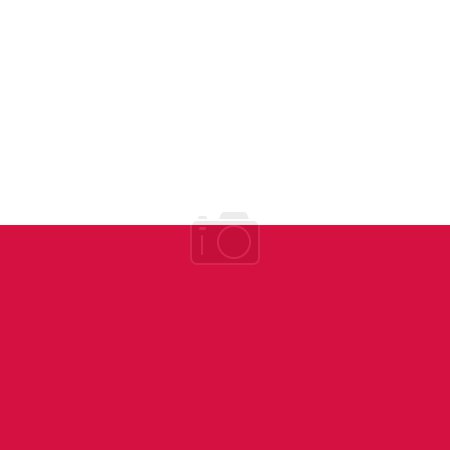 Polen-Flagge - massives flaches Vektorquadrat mit scharfen Ecken.