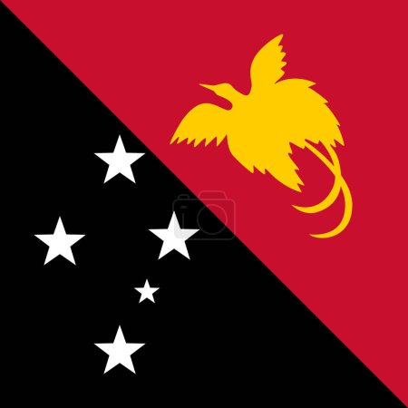 Papua-Neuguinea-Flagge - massives flaches Vektorquadrat mit scharfen Ecken.
