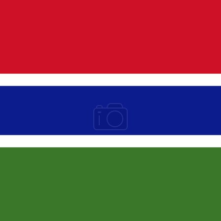 Gambia flag - solid flat vector square with sharp corners.