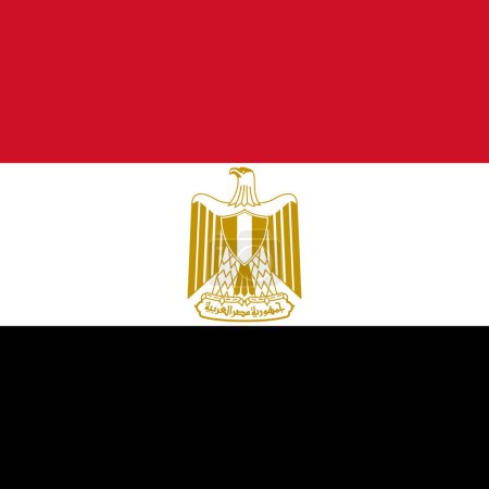 Ägypten-Flagge - massives flaches Vektorquadrat mit scharfen Ecken.