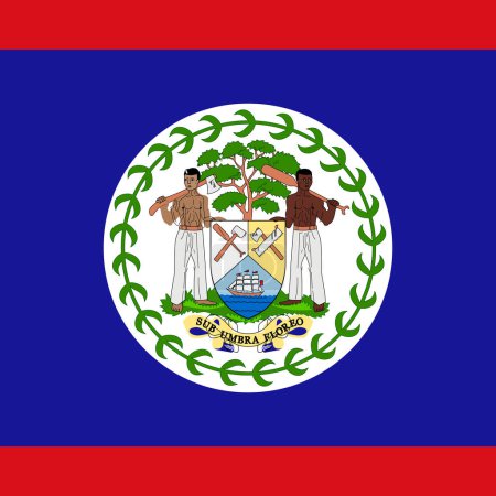 Belize flag - solid flat vector square with sharp corners.
