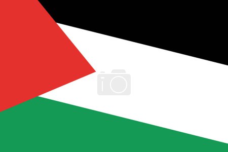 Palestine flag - rectangular cutout of rotated vector flag.
