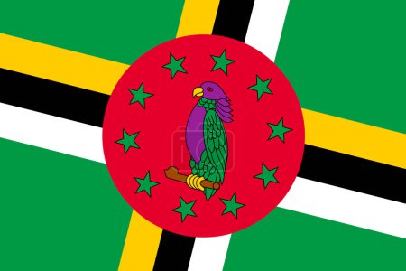 Dominica Flagge - rechteckiger Ausschnitt der gedrehten Vektorfahne.