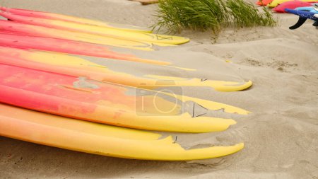 SUP boards in the row for rent on a sandy beach by the sea. Surfing and paddleboard equipment close-up. Abstract background from summer travel. Sports recreation.