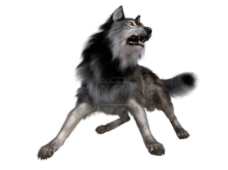 Photo for The carnivorous Dire Wolf lived in North and South America during the Pleistocene Period. - Royalty Free Image