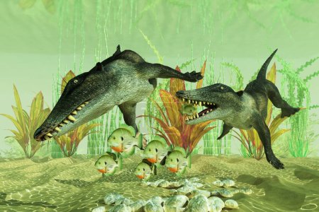 Ambulocetus was an early whale that could walk on land and swim in water during the Eocene Period.