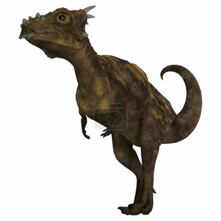 Téléchargez les photos : Dracorex was a herbivorous Pachycephalosaurus dinosaur that lived in the Cretaceous Period of North America. - en image libre de droit
