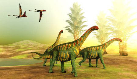 Foto de Los Pterosaurios Dimorfodontes siguen a una manada de dinosaurios saurópodos Jobaria durante el Período Jurásico. - Imagen libre de derechos