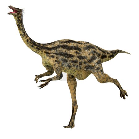 Foto de Gallimimus fue un dinosaurio terópodo omnívoro que vivió en Mongolia durante el período Cretácico.
. - Imagen libre de derechos