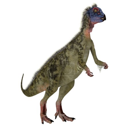 Foto de Hypsilophodon fue un dinosaurio ornitópodo omnívoro que vivió en Inglaterra durante el período Cretácico.
. - Imagen libre de derechos
