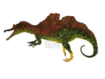 Téléchargez les photos : Ichthyovenator était un dinosaure théropode Spinosaurus qui vivait au Laos, en Asie, au Crétacé.. - en image libre de droit