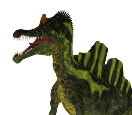 Téléchargez les photos : Ichthyovenator était un dinosaure théropode Spinosaurus qui vivait au Laos, en Asie, au Crétacé.. - en image libre de droit