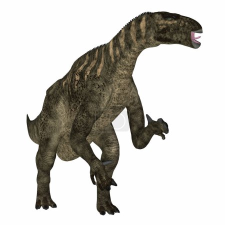 Téléchargez les photos : Iguanodon était un dinosaure ornithopode herbivore qui vivait en Europe au Crétacé.
. - en image libre de droit