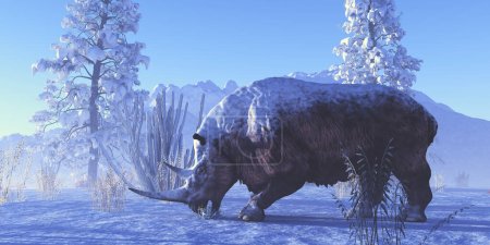 Téléchargez les photos : Un rhinocéros laineux mange une plante pendant une journée d'hiver en Europe pendant l'ère du Pléistocène. - en image libre de droit