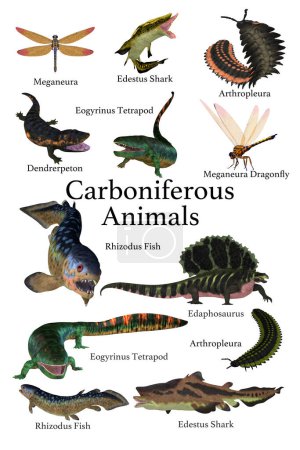 Téléchargez les photos : Une collection d'animaux, de poissons, d'insectes qui ont vécu pendant la période carbonifère. - en image libre de droit