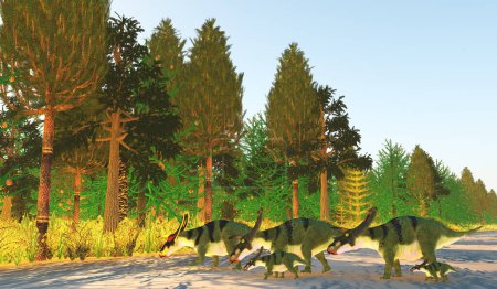 Foto de El dinosaurio Anchiceratops vivió en manadas para protegerse de los depredadores durante el período Cretácico de Canadá.. - Imagen libre de derechos