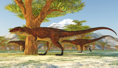 Téléchargez les photos : Carcharodontosaurus était un grand dinosaure théropode carnivore qui vivait en Afrique pendant la période du Crétacé.. - en image libre de droit