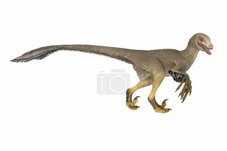 Téléchargez les photos : Dakotaraptor était un dinosaure carnivore théropode à plumes qui vivait dans le Dakota du Sud, en Amérique du Nord pendant la période du Crétacé.. - en image libre de droit