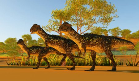 Téléchargez les photos : Stegoceras était un dinosaure herbivore à tête de dôme qui vivait en Amérique du Nord au Crétacé.. - en image libre de droit