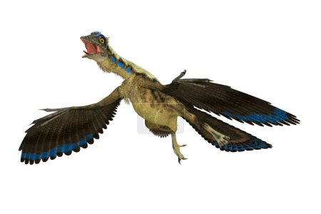 Téléchargez les photos : Archaeopteryx était un ptérosaure carnivore volant reptile qui a vécu en Allemagne pendant la période jurassique. - en image libre de droit