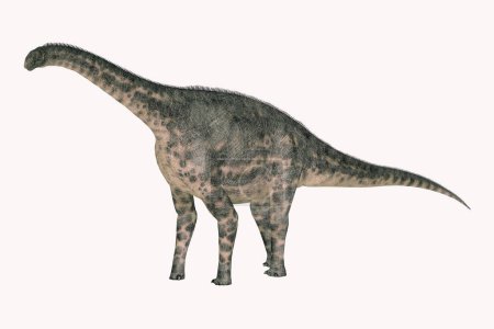 Téléchargez les photos : Cetiosaurus était un sauropode herbivore Titanosaur qui vivait en Afrique pendant la période jurassique.. - en image libre de droit