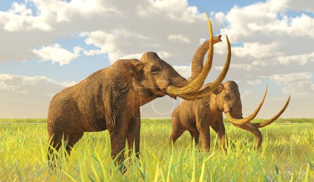 El mamut colombiano vivió durante el período del Pleistoceno de América del Norte.