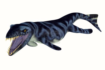 Téléchargez les photos : Dakosaurus était un reptile carnivore marin qui vivait dans les mers d'Europe, du Mexique et d'Argentine pendant les périodes jurassique et crétacée.
. - en image libre de droit