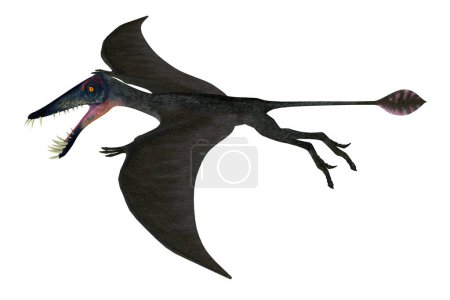 Téléchargez les photos : Dorygnathus était un ptérosaure carnivore qui a vécu dans l'ère jurassique de l'Europe
. - en image libre de droit