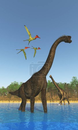 Drei Flugsaurier überfliegen zwei Brachiosaurus-Dinosaurier, die während der Jurazeit über einen Fluss wateten.