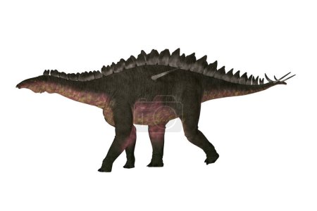 Miragaia war ein gepanzerter Stegosaurier-Sauropoden-Dinosaurier, der während der Jurazeit in Portugal lebte.