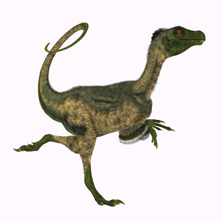 Ornitholestes was a small carnivorous dinosaur that lived in the Jurassic Period of Western Laurasia which is now North America.