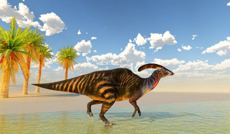 Parasaurolophus avec une crête crânienne était un dinosaure Hadrosaure herbivore qui vivait en Amérique du Nord pendant la période du Crétacé
.