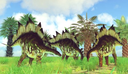 Stegosaurus war ein gepanzerter pflanzenfressender Dinosaurier, der während der Jurazeit in Nordamerika lebte.