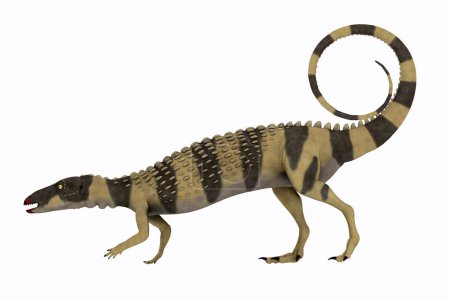 Scutellosaurus fue un dinosaurio herbívoro blindado que vivió en Arizona, Estados Unidos durante el período Jurásico..