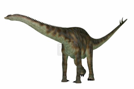 Spinophorosaurus fue un dinosaurio saurópodo herbívoro que vivió en el período Jurásico de Níger, África.
.