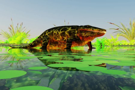 eryops war ein semi-aquatisches Hinterhalt-Raubtier ähnlich wie das moderne Krokodil und lebte in der Perm-Zeit in Texas, New Mexico und den östlichen USA.