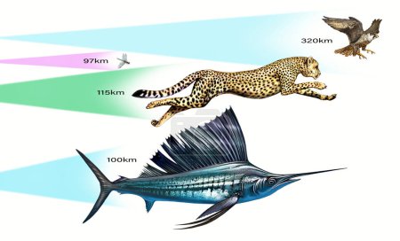Foto de Los animales más rápidos en la Tierra, en la tierra, en el agua, en el aire: halcón peregrino, guepardo, libélula, pez vela, diagrama-ilustración - Imagen libre de derechos