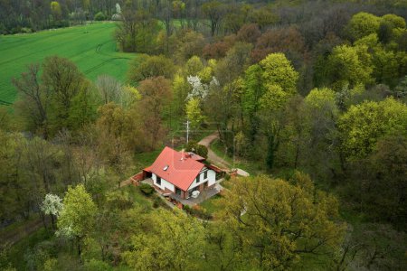 Photo for Aerial view of house with red roof among green trees forest, Place for relax withought people, Non urban home for living in harmony with nature - Royalty Free Image