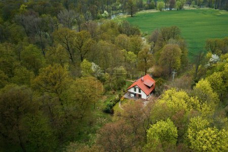 Foto de Vista aérea de casa con techo rojo entre árboles verdes bosque, lugar para relajarse con la gente, casa no urbana para vivir en armonía con la naturaleza - Imagen libre de derechos
