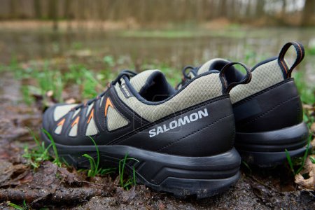 Photo for Salomon X Braze GTX hiking boots with Gore-Tex membrane in water puddle, surrounded by fallen leaves. Sturdy trekking shoes against backdrop of forest terrain. - Royalty Free Image