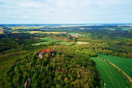 Nature landscape with Grodziec Castle surrounded by blooming agricultural fields and green forest, aerial view. Old historical fortress. Famous touristic place in Lower Silesia, Poland