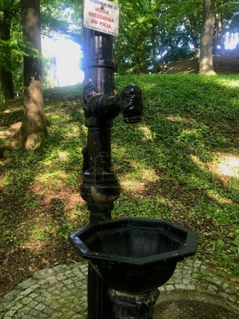 Téléchargez les photos : Promenade dans la ville Kazimir parc à Przemysl, Pologne, plus à la recherche comme la forêt à midi avec la lumière du soleil à travers les feuilles - en image libre de droit