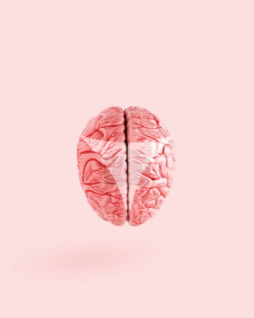 Photo for Pink brain with lighter bikini trace on isolated pastel background. Minimal abstract creative concept of psychology, psychoanalysis, mind opening, liberation from brain control, exposed or bare brain. - Royalty Free Image
